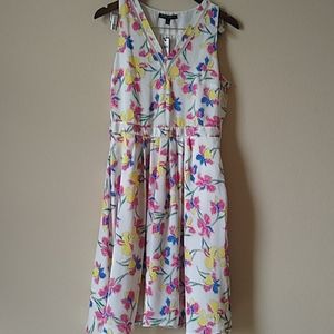 Banana Republic Hibiscus Lined dress Size 6 NWT